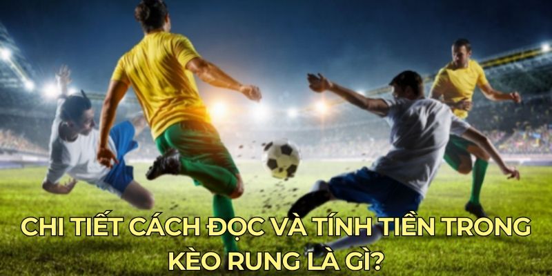 Chi tiết cách đọc và tính tiền trong kèo rung là gì?